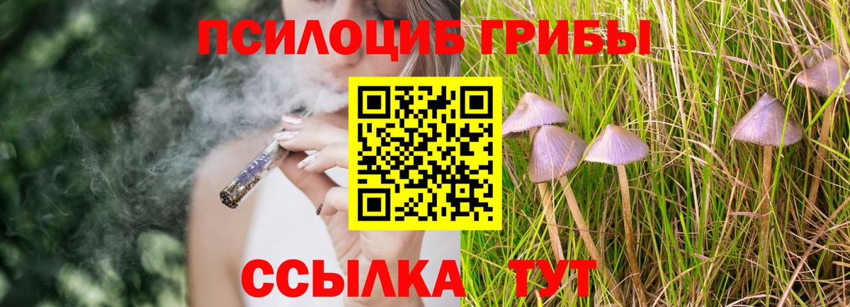 Псилоцибиновые грибы ЛСД Дмитров