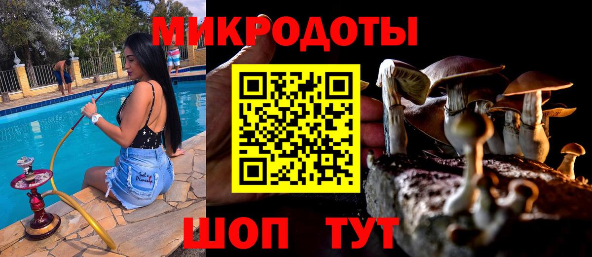 Галлюциногенные грибы MAGIC MUSHROOMS  Вход с VPN  Галлюциногенные грибы прущие грибы  закладки  Дмитров 
